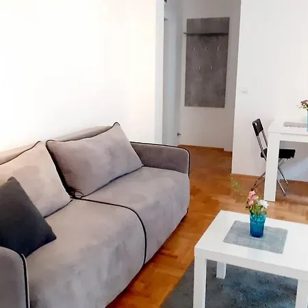Appartement Smestaj Voli - U Centru Sokobanje Sokobanja